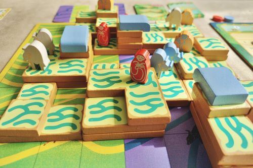 Detalle partida Paddy juego de mesa Detalle partida Paddy juego de mesa